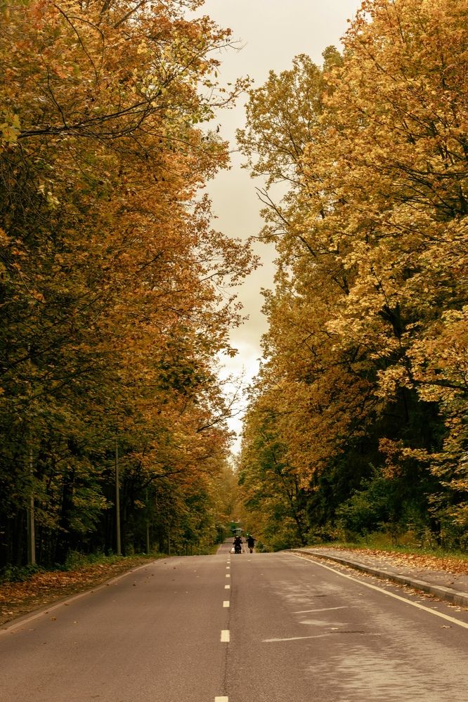 Photograph by Влада Семёнова