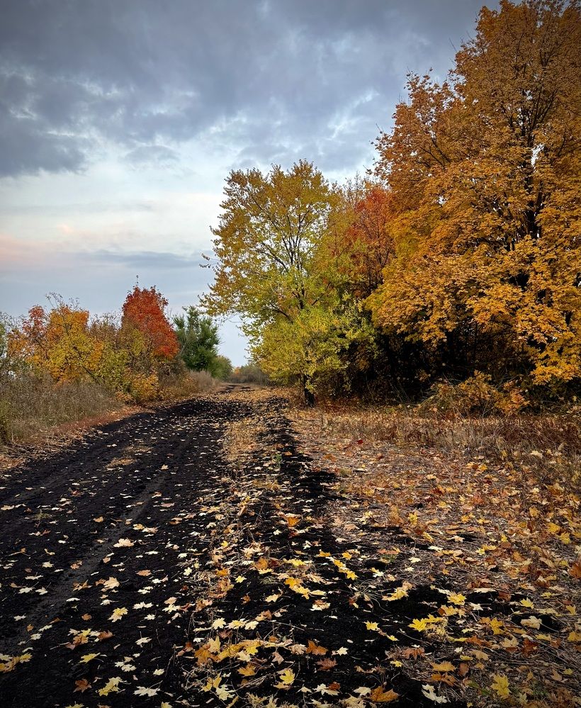 Photograph by Марина Козлова