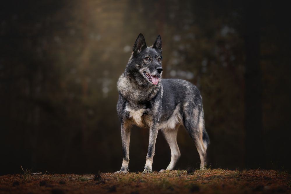 Photograph by Ирина Шестакова