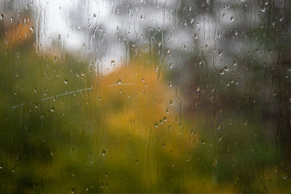 Photograph by Илья Сторожко