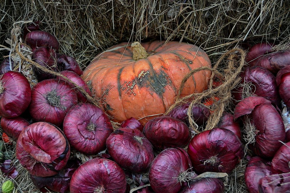 Photograph by Анастасия Смирнова