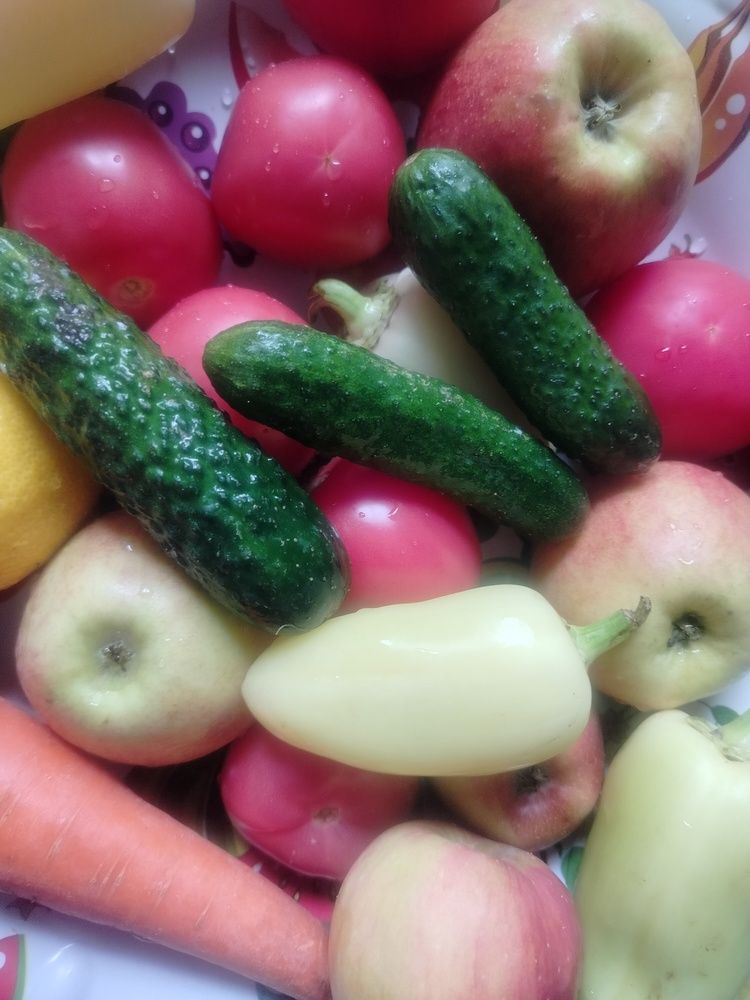 Photograph by Адамян Анна