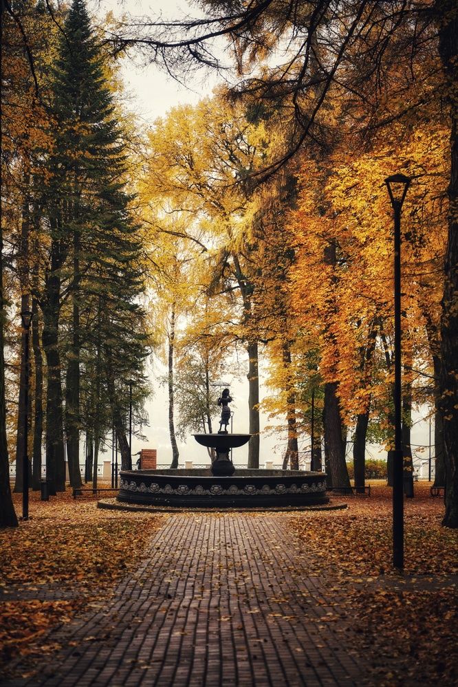 Фотография автора Роман Савин