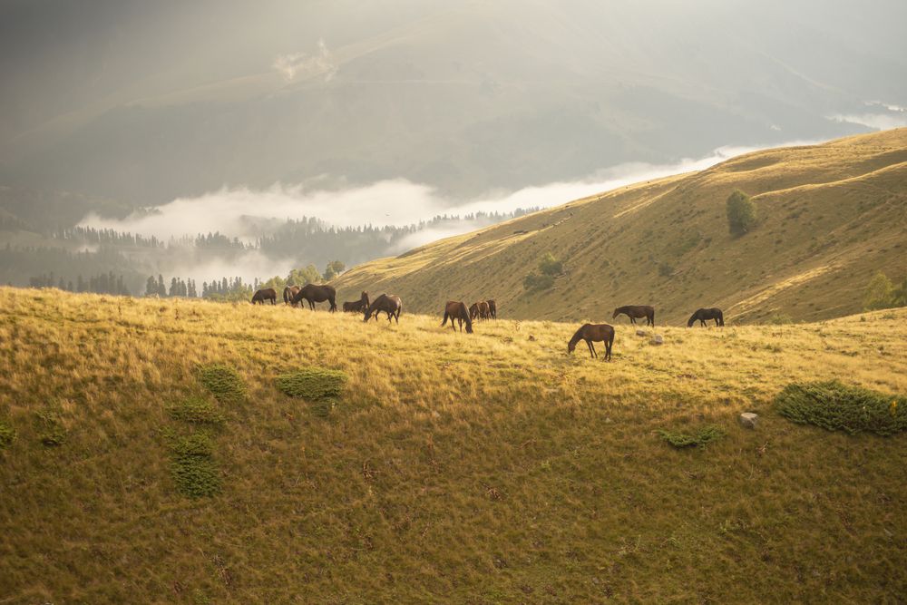 Photograph by Денис Смирнов
