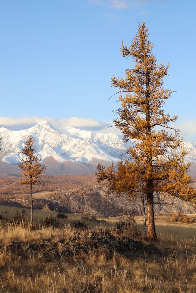 Photograph by Оксана Соколова