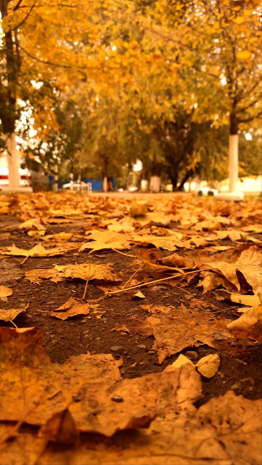 Photo #12693484
