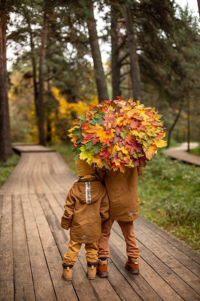 Photograph by Наталия Лысых