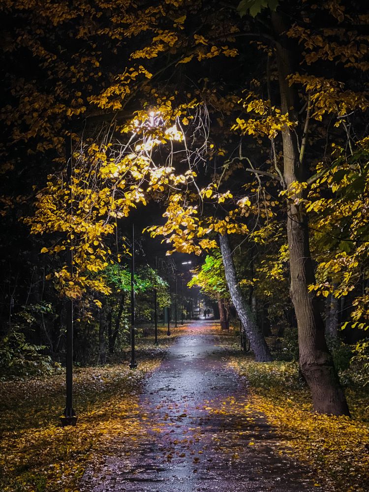 Photograph by Мария Сазонова