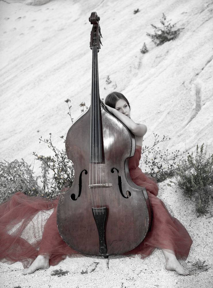 The Soul of a Musician