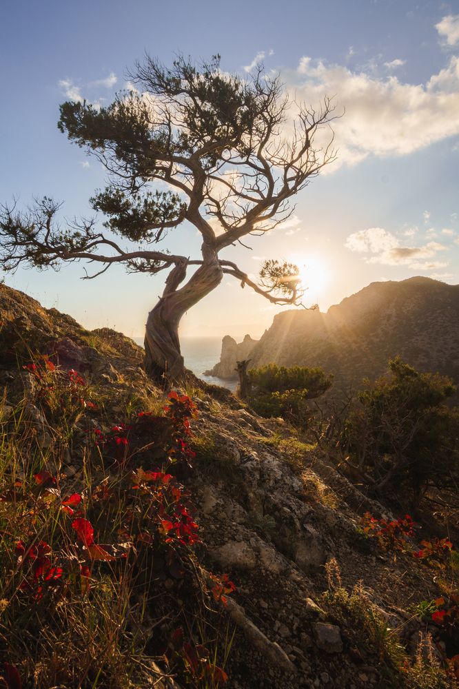 Photograph by Кривцов Андрей