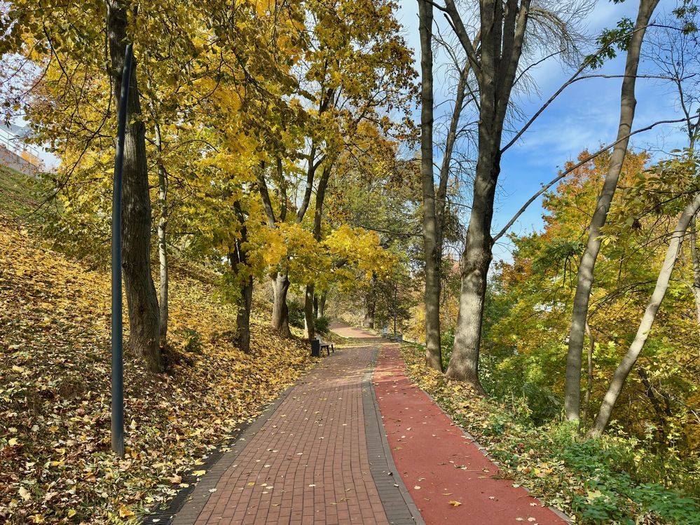 Photograph by Kuzmichev Alexey