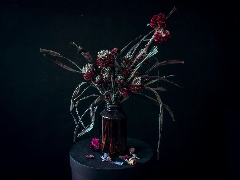 Photograph by Гергерт Вероника