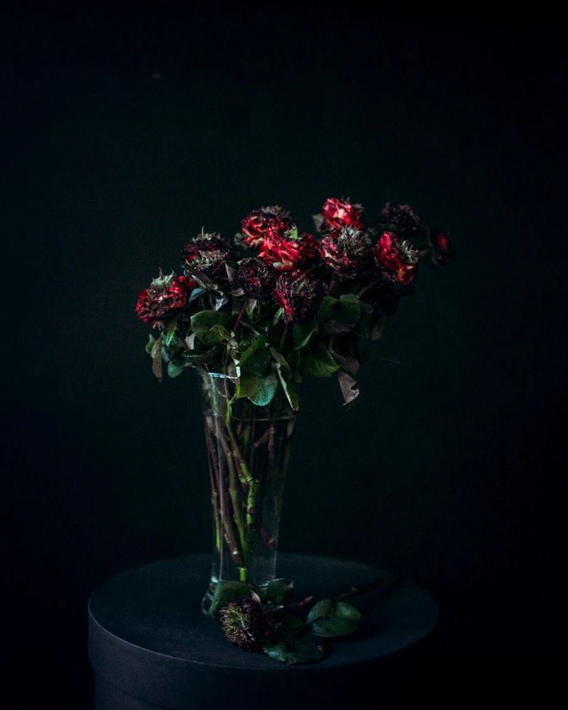 Photograph by Гергерт Вероника