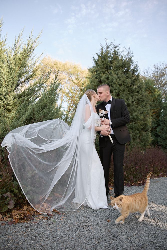 Photograph by Юлия Зозуля