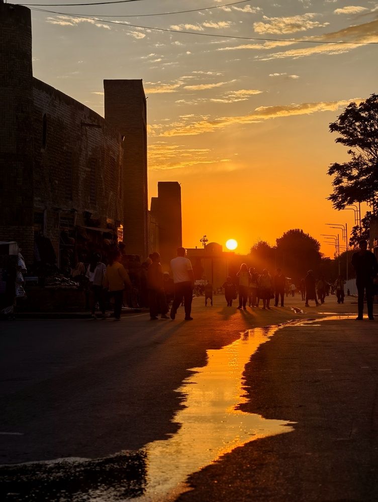 Фотография автора robot