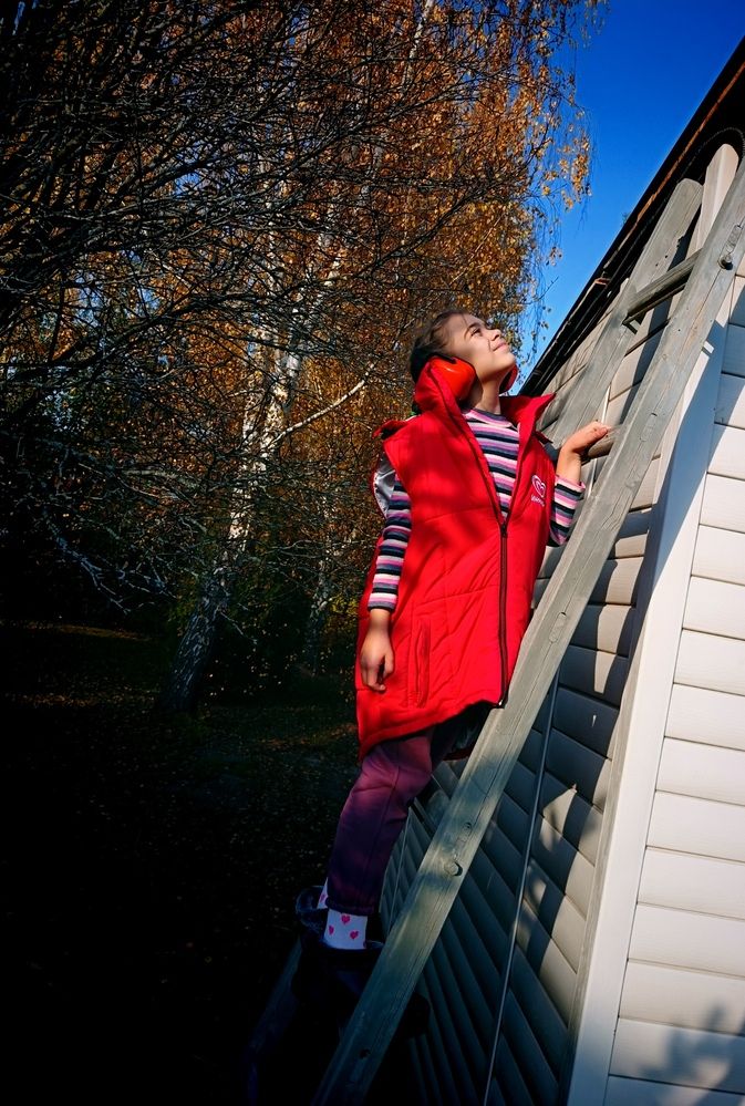 Photo #12693775