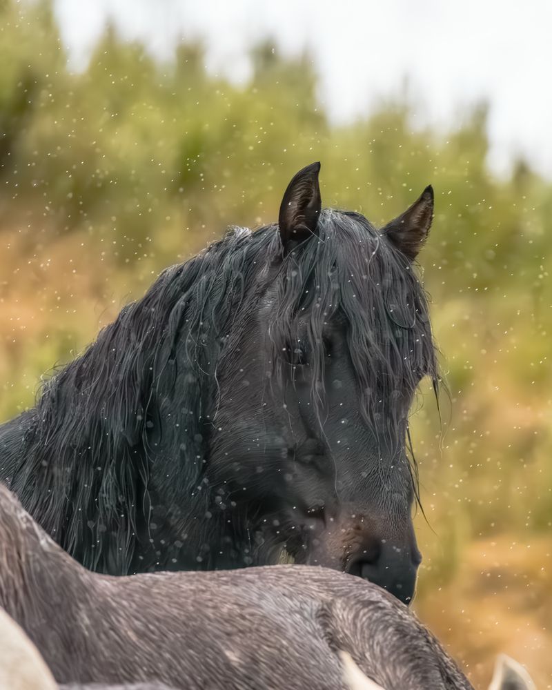 Photograph by Matthew pinner