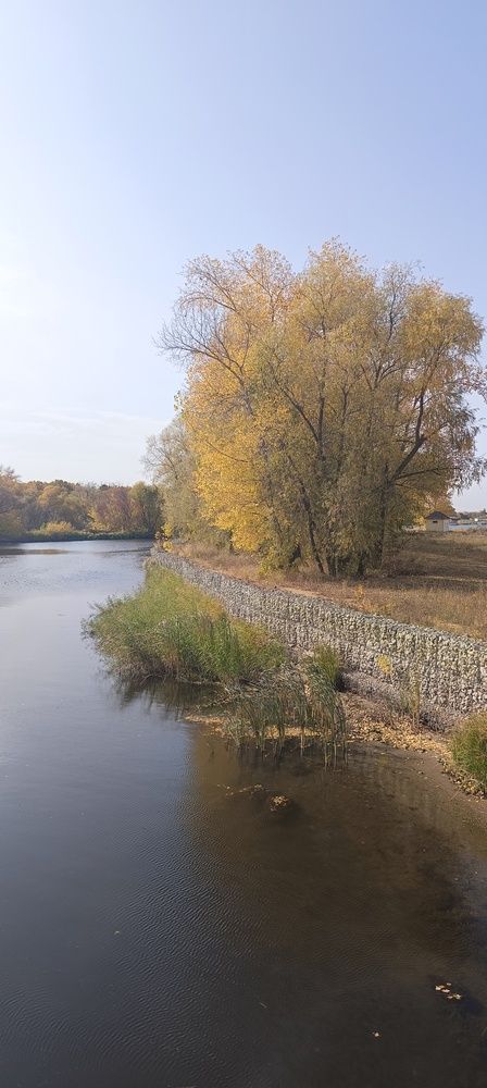 Фотография автора Елена Александрова