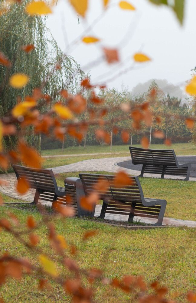 Photograph by Ирина Холодная
