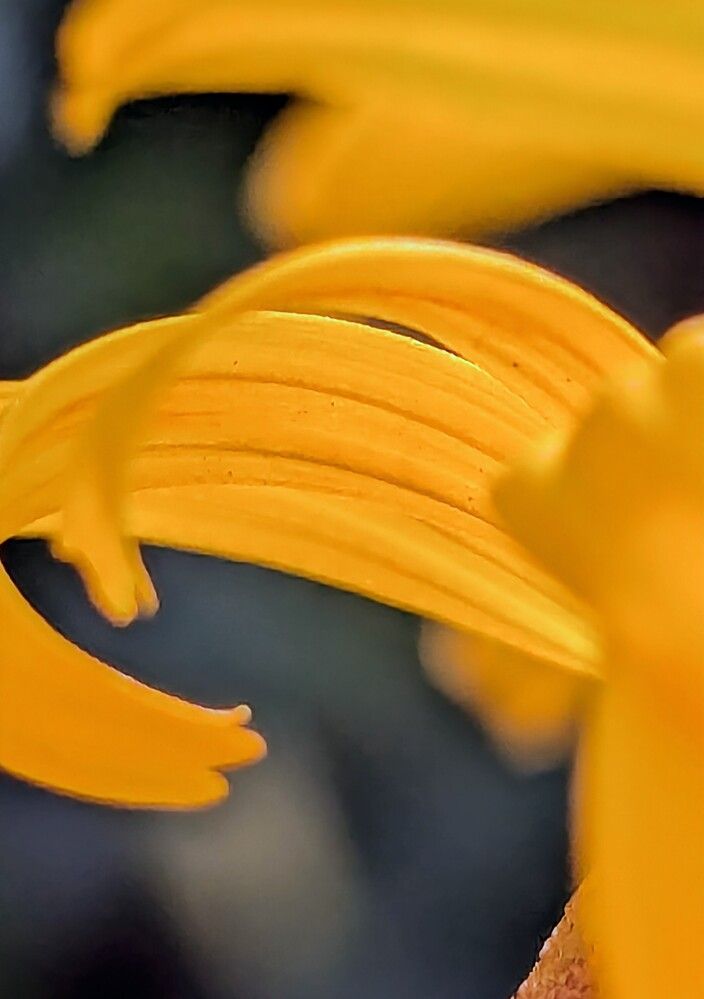 Photograph by Наталия Васина