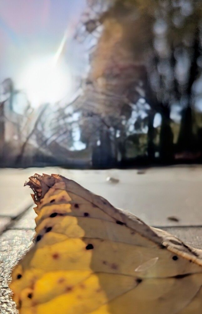 Photograph by Наталия Васина