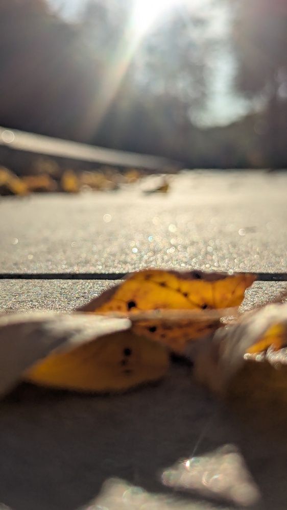 Photograph by Наталия Васина
