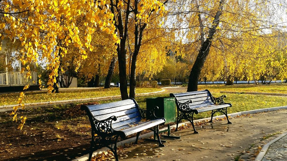Photograph by Сергей Синьков