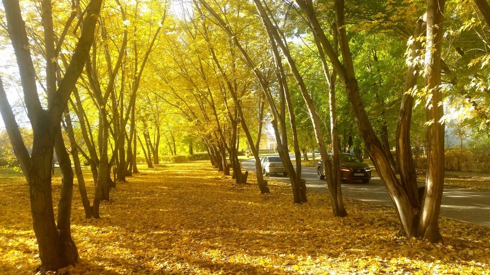 Photograph by Сергей Синьков