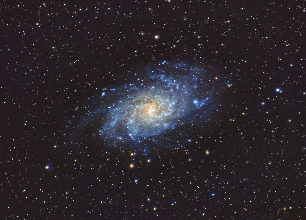 The Triangulum Galaxy