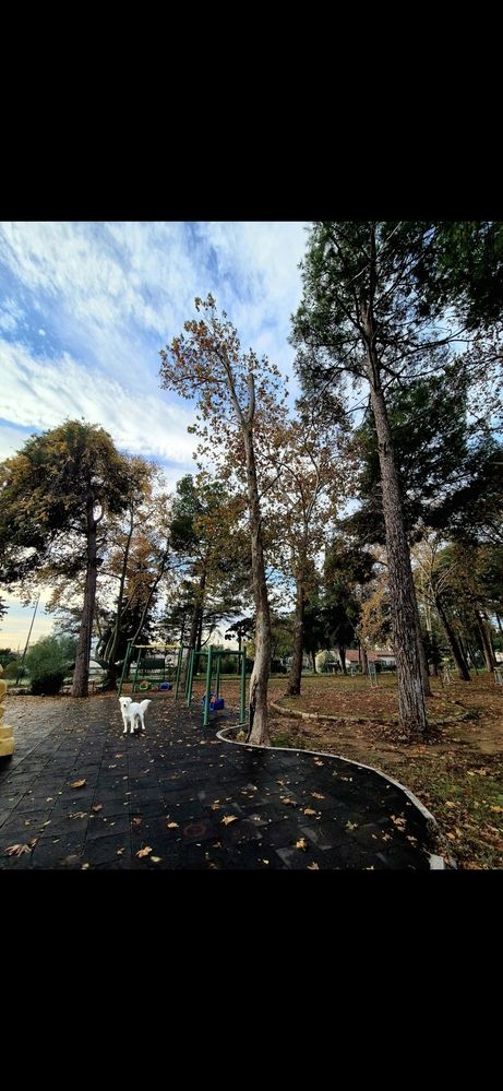 Photograph by Avi Behar