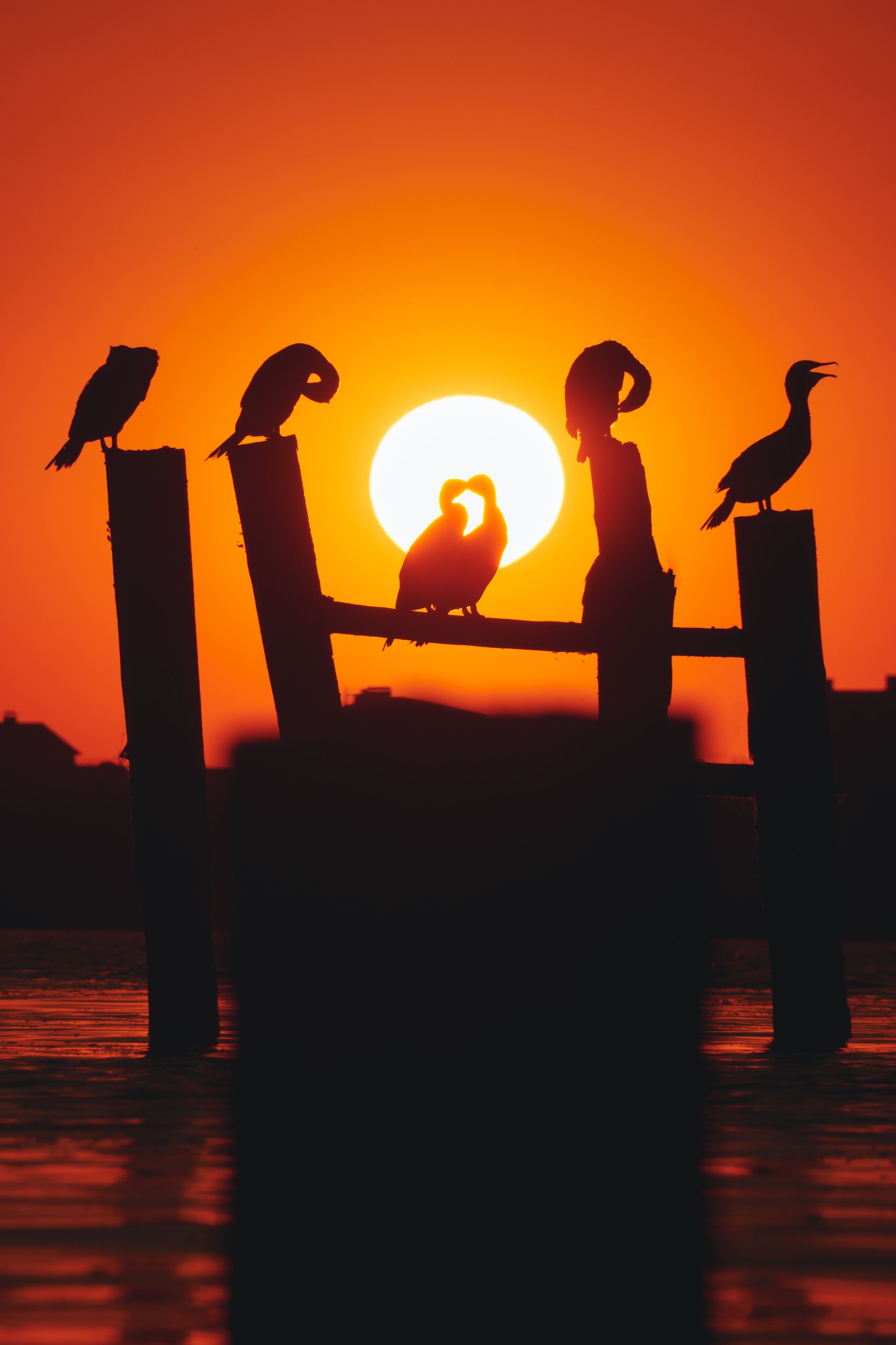 Photograph by Кривцов Андрей