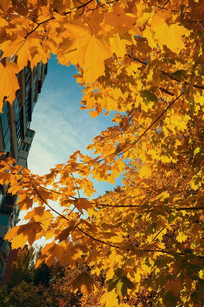 Осенний круговорот