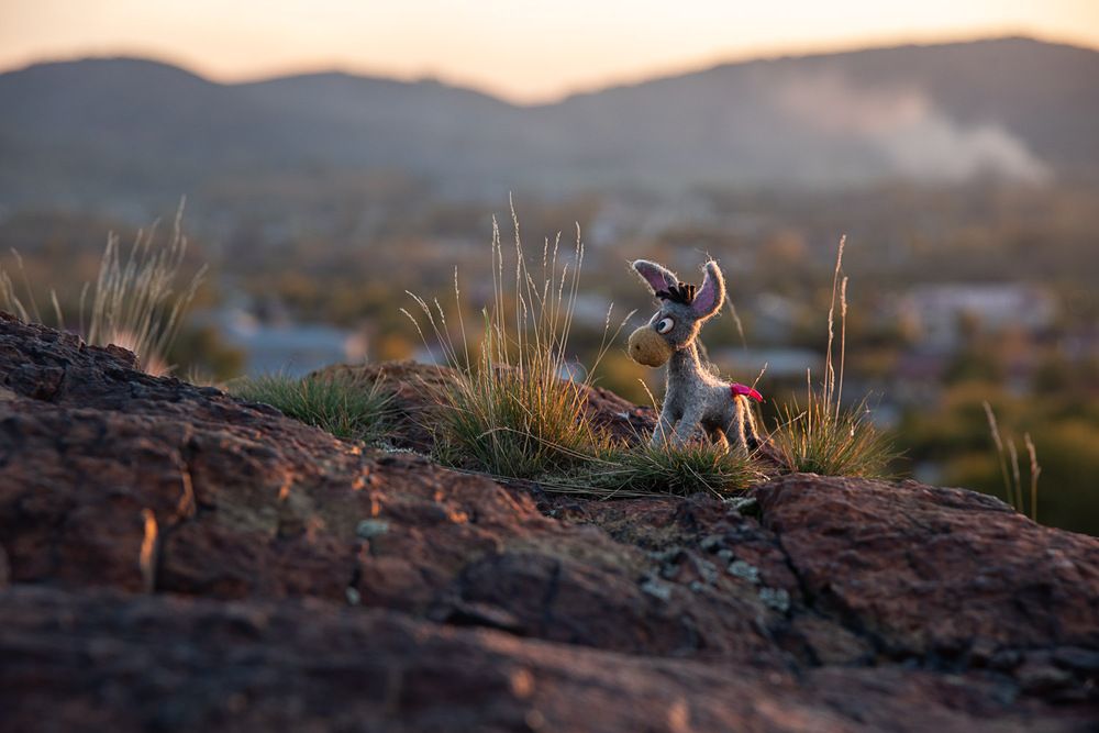 Фотография автора Ирина Яук