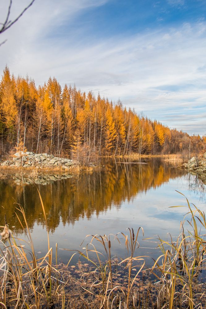 Photograph by Михаил Мархинин