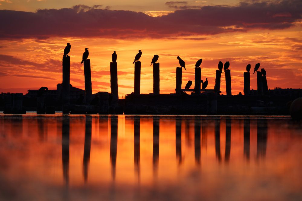 Photograph by Кривцов Андрей