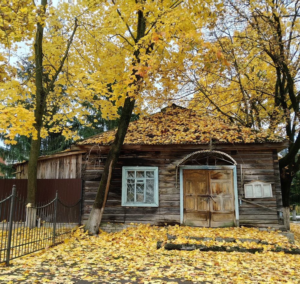 Photograph by Елена Сухорученкова