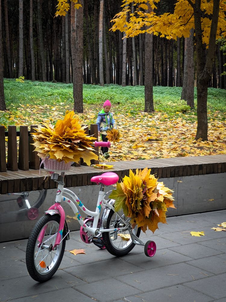 Photograph by Олега Тор