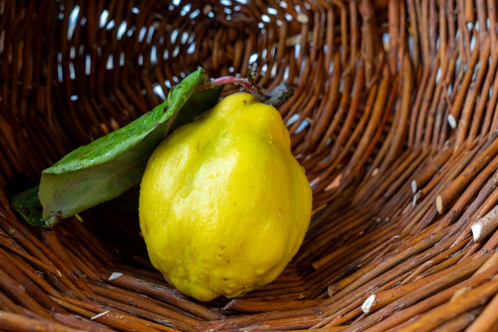 Фотография автора Ирина Зайцева