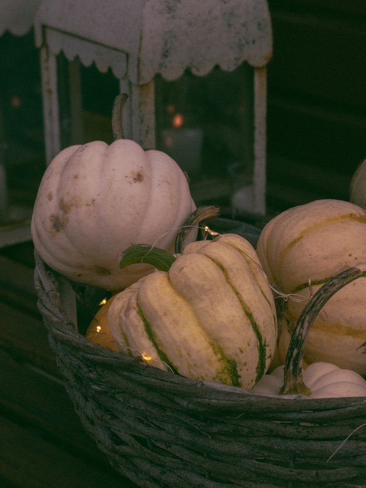 Фотография автора Anna Tikka