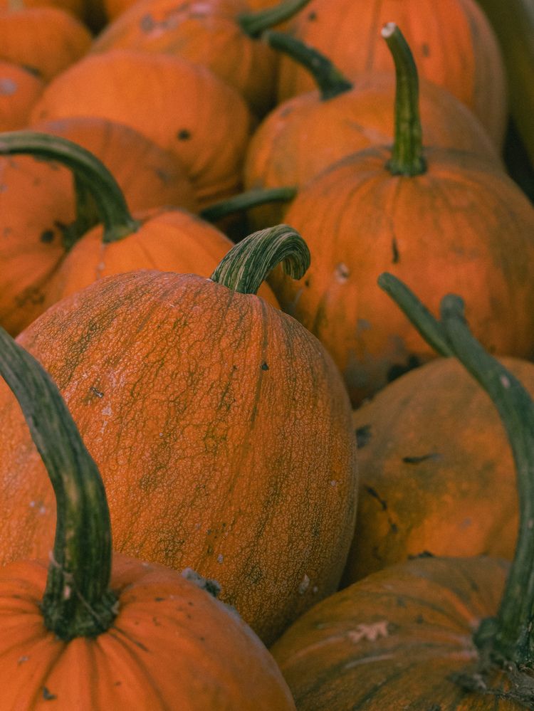 Фотография автора Anna Tikka