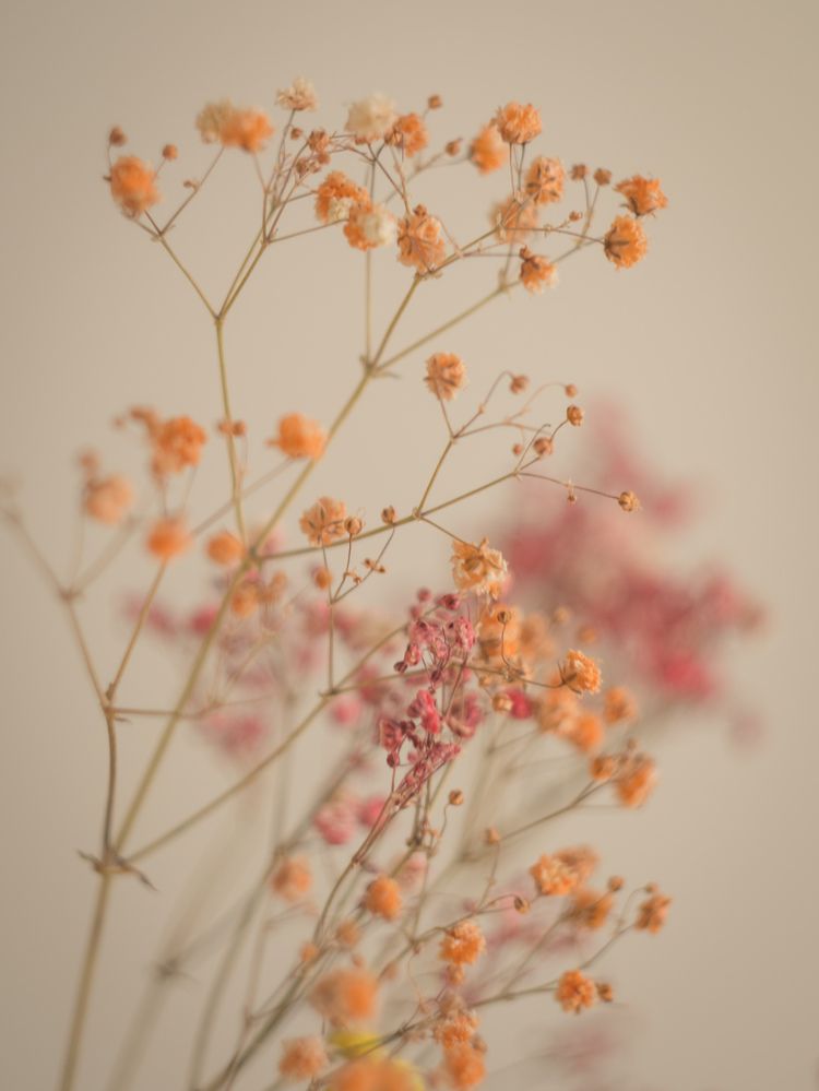 Фотография автора Anna Tikka