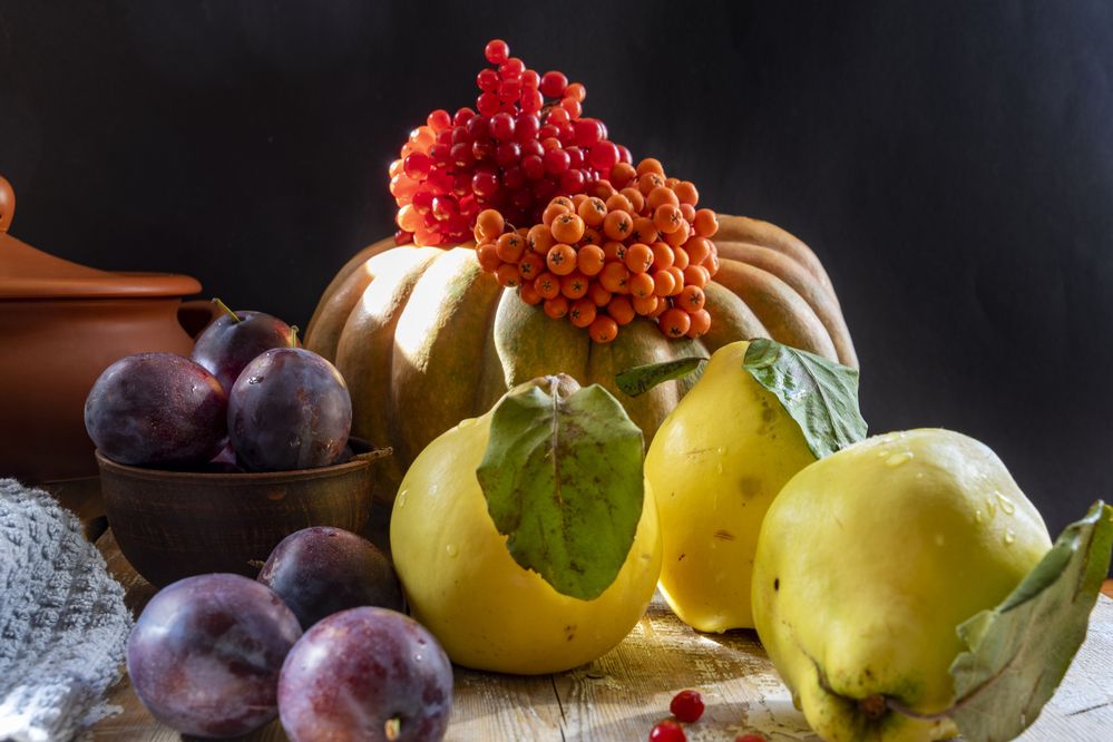 Фотография автора Ирина Зайцева