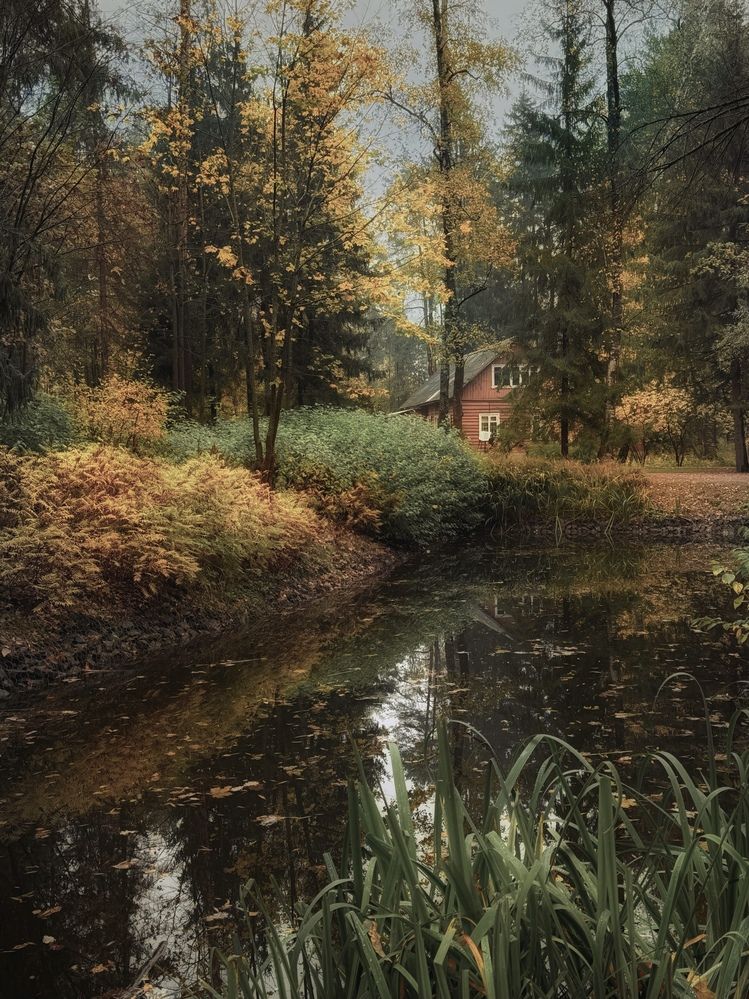 Photograph by Татьяна Семёнова