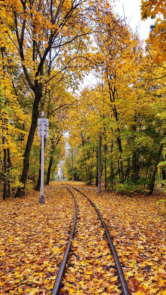 Photograph by Новиков Алексей