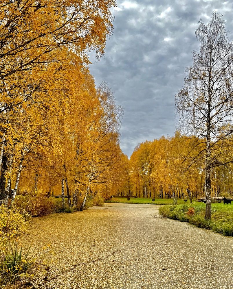 Фотография автора Олег Травин