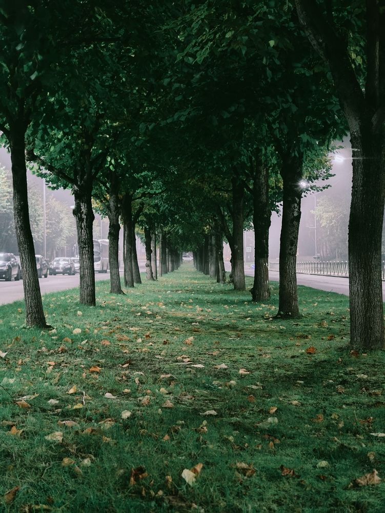 Photograph by Дарина Ворошилова