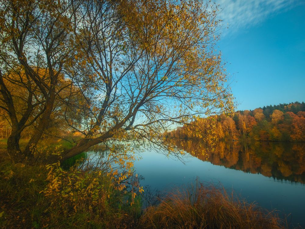 Photograph by Кирилл Сидоров