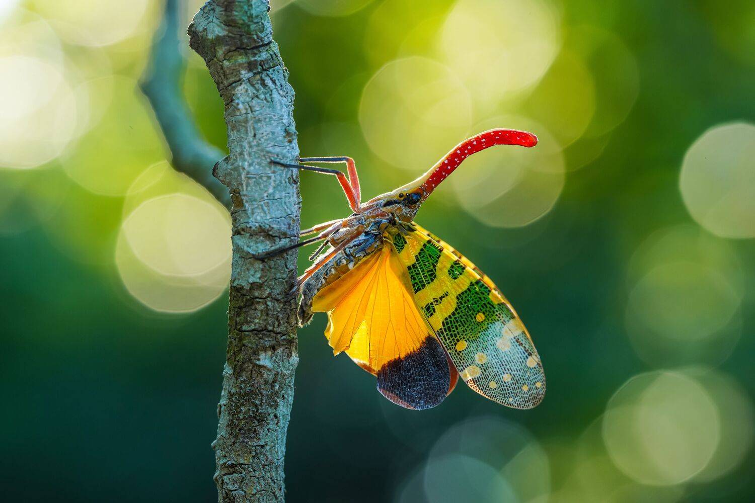 Фотография #12694327