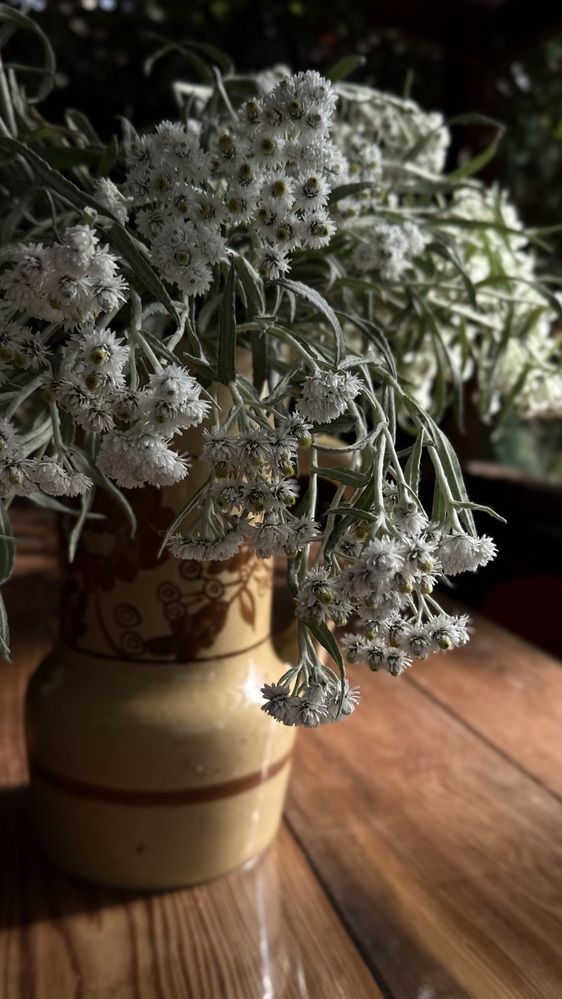 Photograph by Светлана Родионова