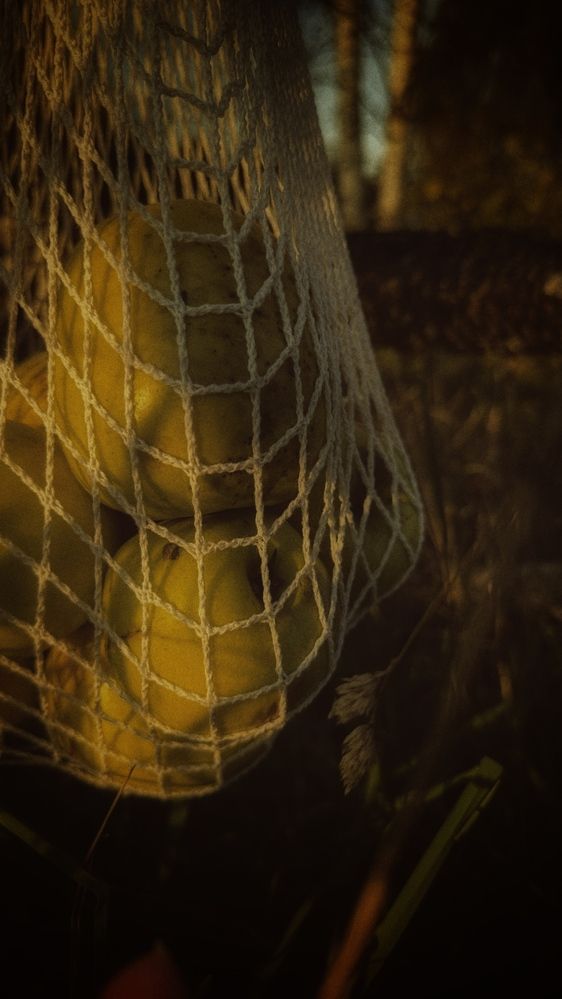 Photograph by Светлана Родионова